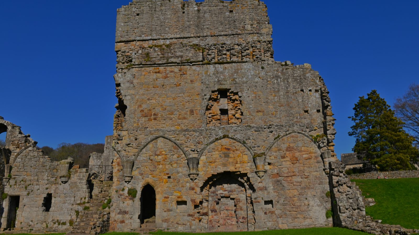The ruins of Easby Abbey beside the river
