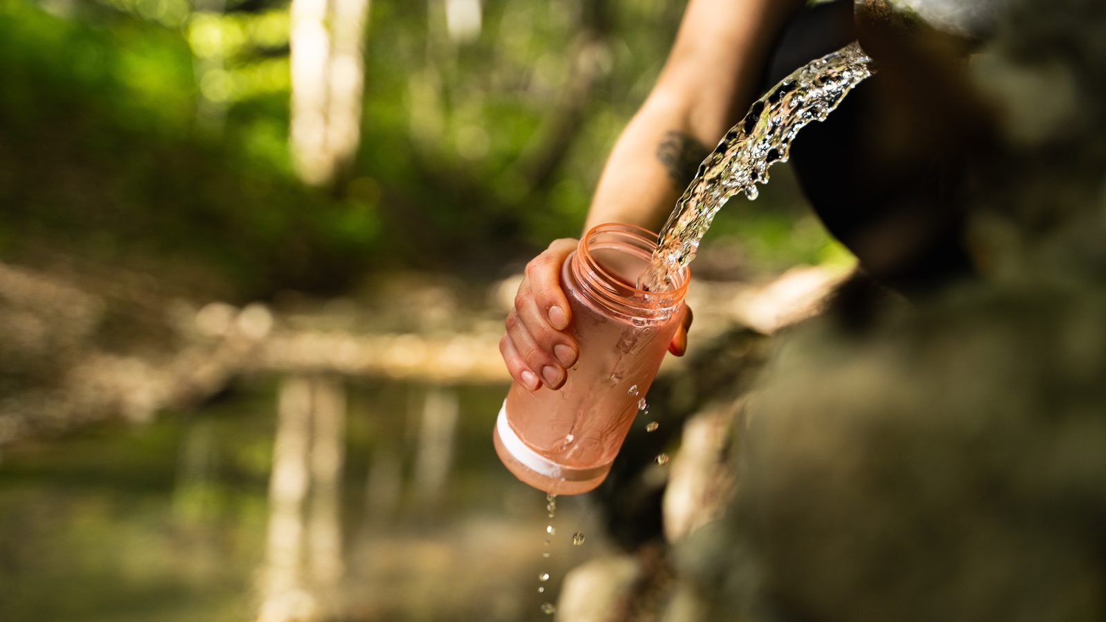 A hand filling a water bottle from a stream in a wood