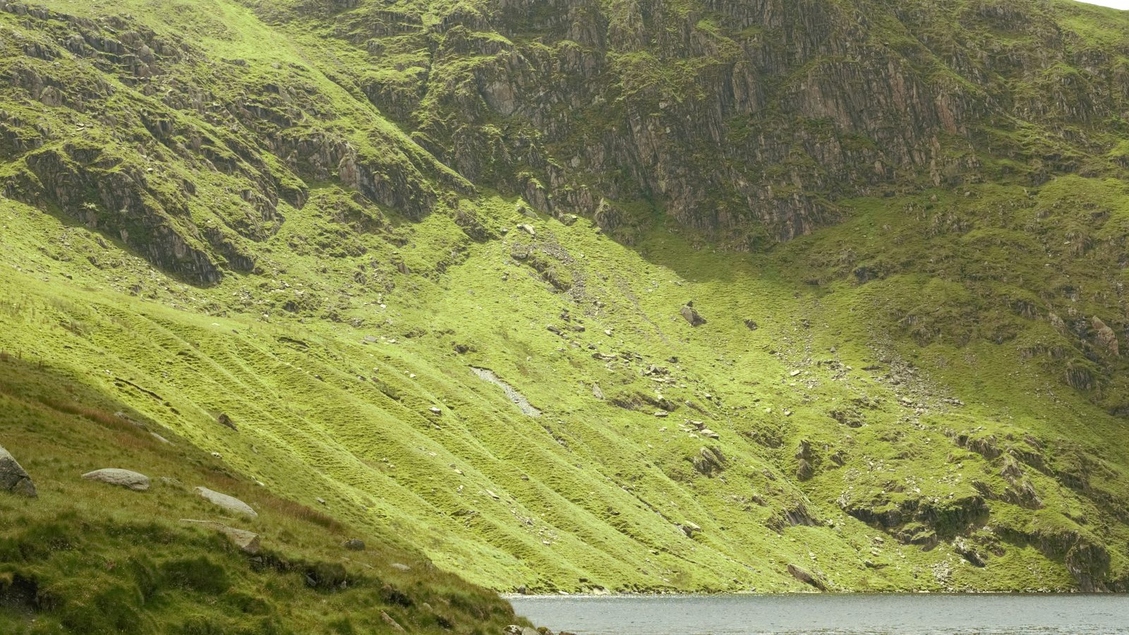The steep grassy fellside above Haweswater, where the Kidsty Pike descent reaches the reservoir on stage 5
