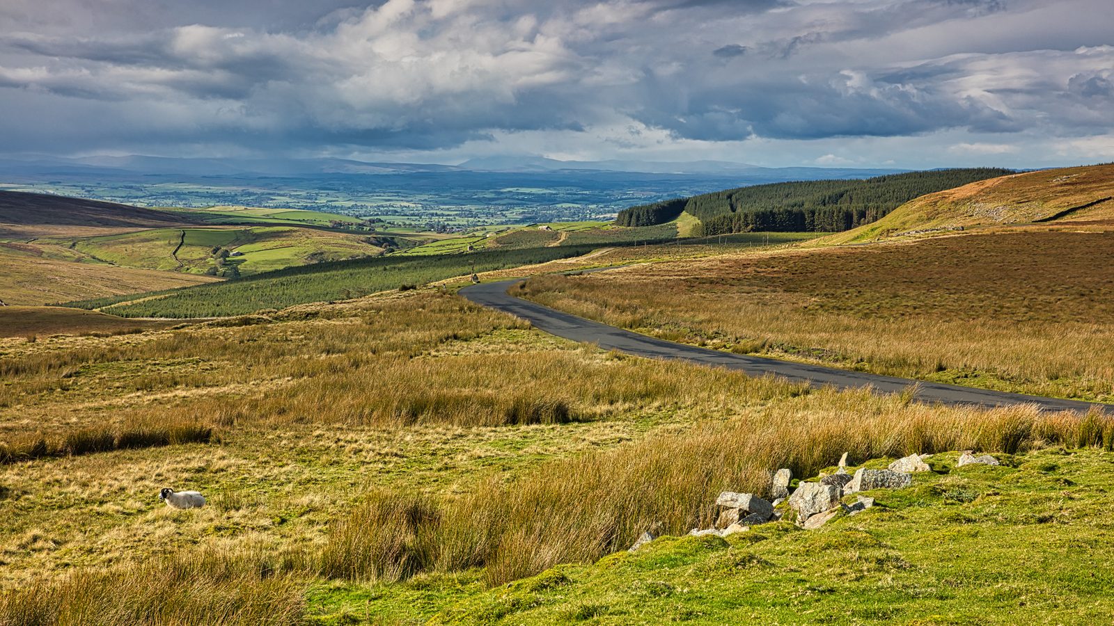 Stone-walled fields and open fell near Kirkby Stephen, the natural halfway point of the Coast to Coast